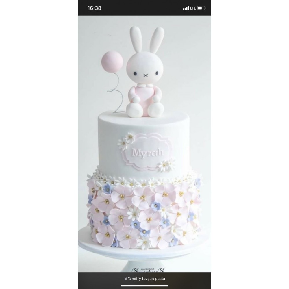 Katalog dışı pasta tavşan