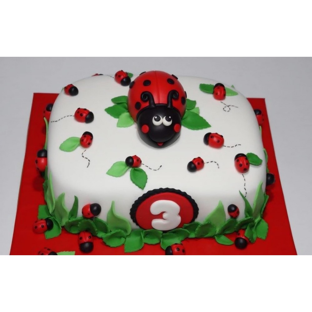 Katalog Dışı Pasta Uğur Böceği