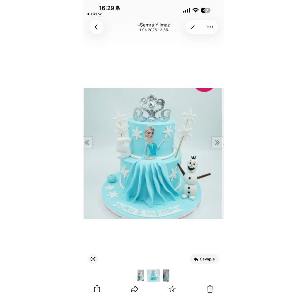 Katalog Dışı Elsa Snow Pasta